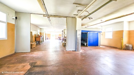 Gallery 1