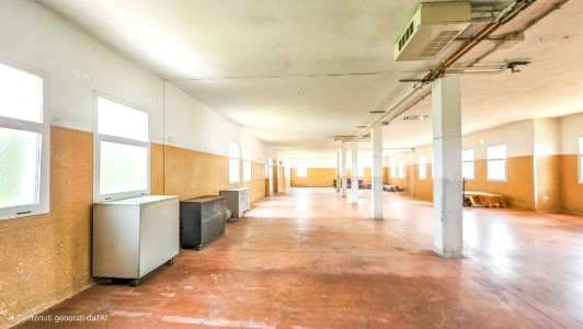 Gallery 1