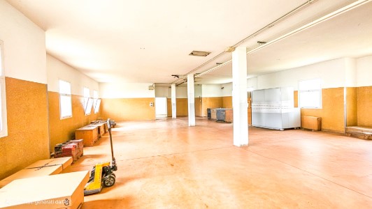 Gallery 1