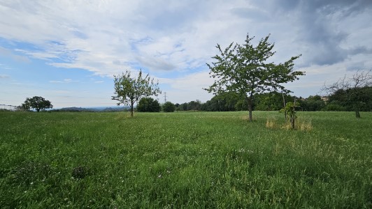 Gallery 1