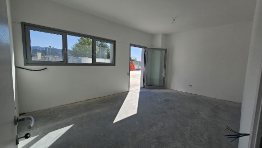 Gallery 1