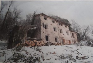 Gallery 1