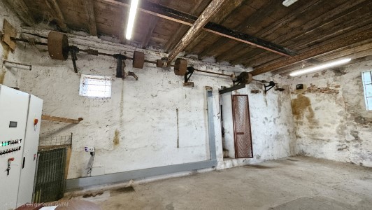 Gallery 1