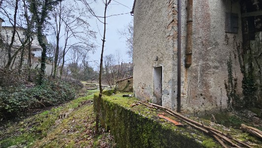Gallery 1