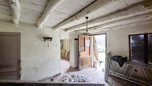 Gallery 1