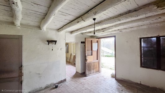 Gallery 1