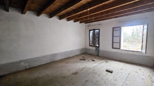 Gallery 1