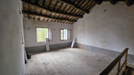 Gallery 1