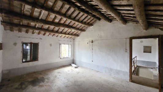 Gallery 1
