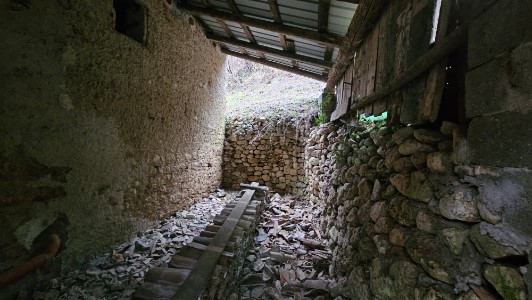 Gallery 1