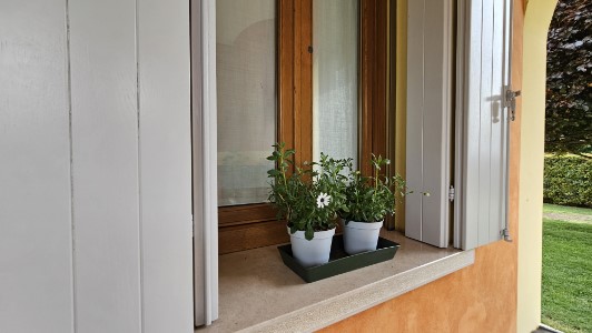 Gallery 1