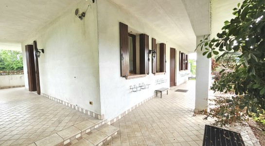 Gallery 1