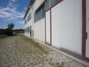 Gallery 1