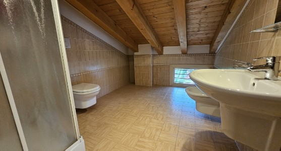 Gallery 1