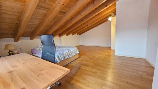 Gallery 1