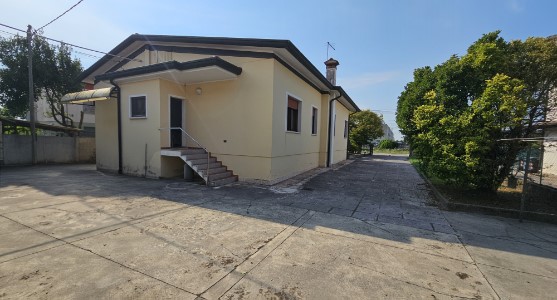 Gallery 1