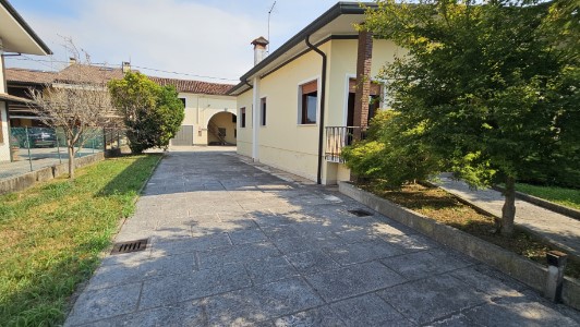 Gallery 1