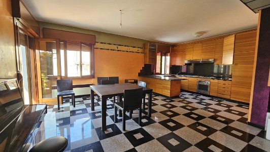 Gallery 1