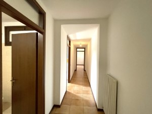 Gallery 1