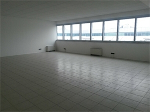 Gallery 1