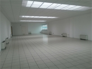 Gallery 1