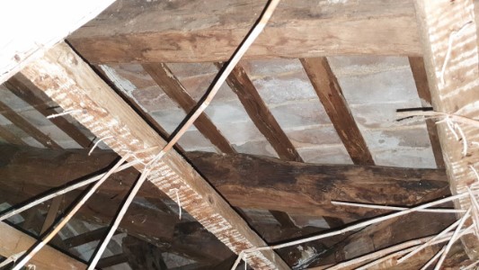 Gallery 1